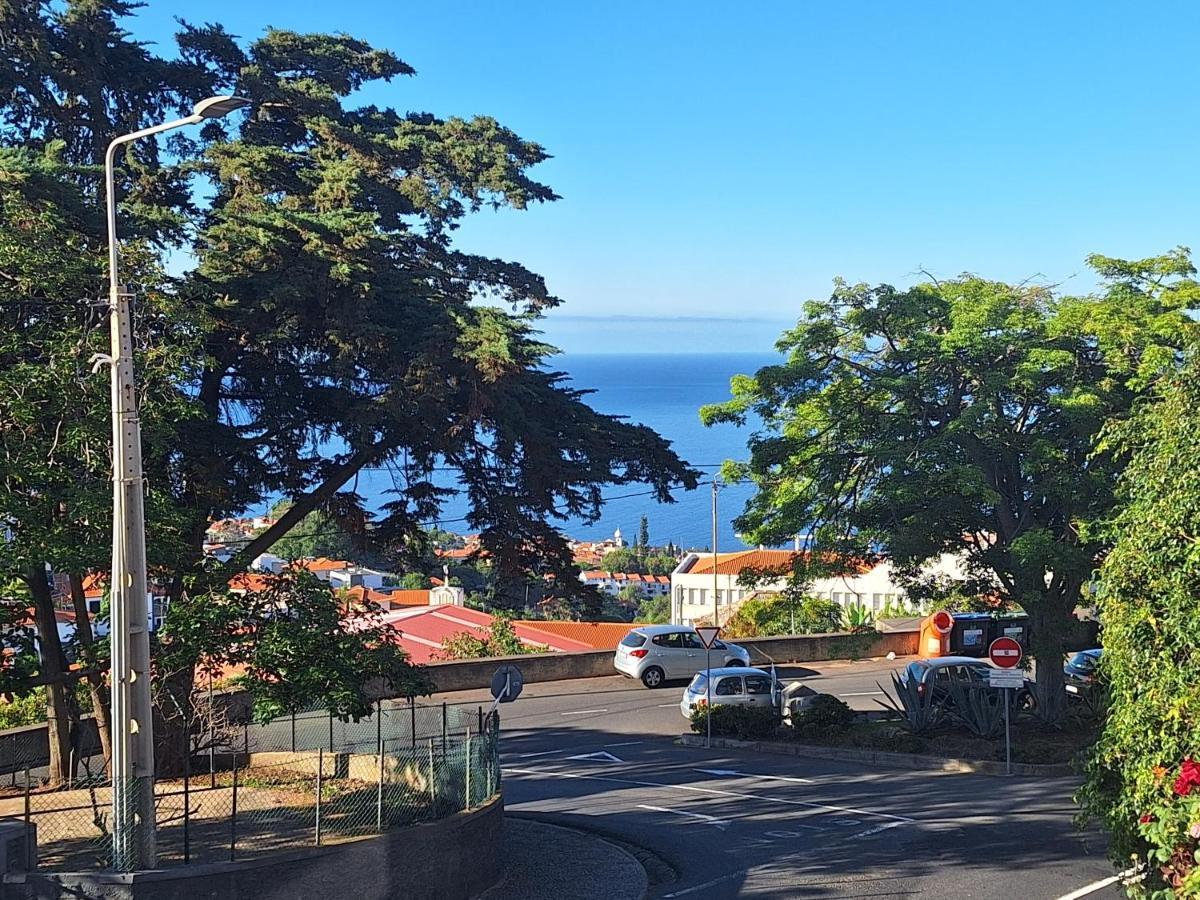 Funchal Apartments - New Botanic Garden Petit Studios 외부 사진