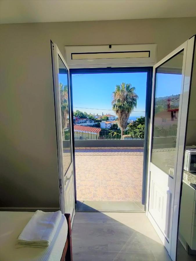 Funchal Apartments - New Botanic Garden Petit Studios 외부 사진